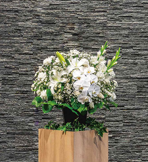 枕花B